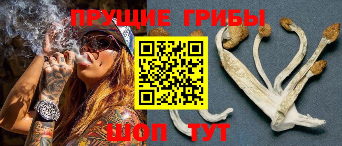 Псилоцибиновые грибы Psilocybine cubensis Артём