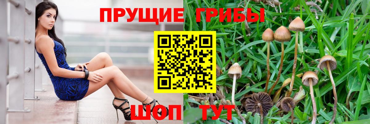 Артём  Галлюциногенные грибы MAGIC MUSHROOMS  Вход с VPN 